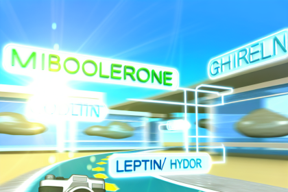 Mibolerone y leptina/ghrelina: lo básico