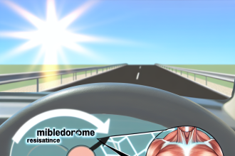 Mibolerone y resistencia muscular: señales de progreso real