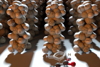 Estanozolol y micronutrientes: los más relevantes