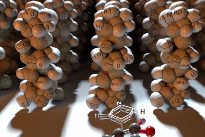 Estanozolol y micronutrientes: los más relevantes