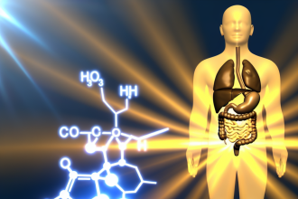 Methyltrenbolone y sistema digestivo: cómo protegerlo